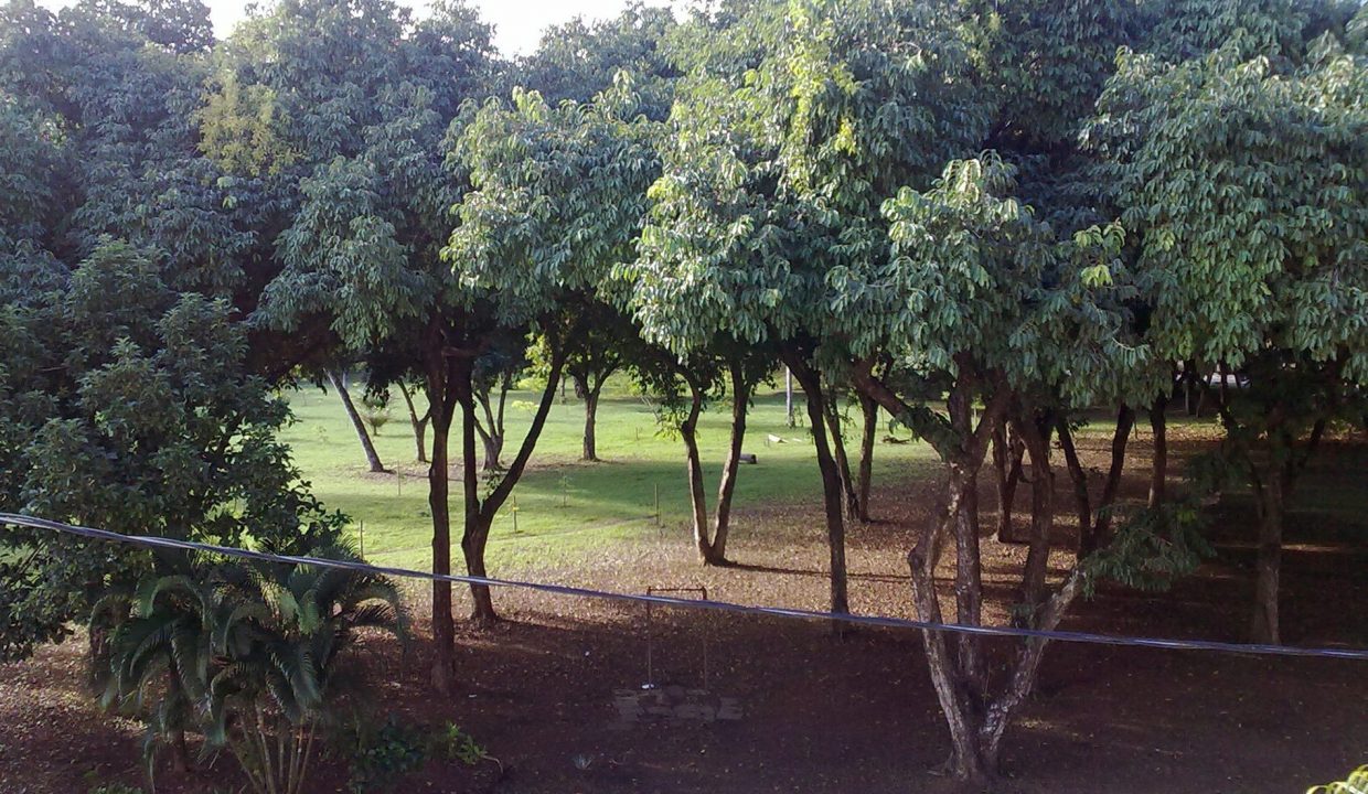 Casa a venda no Caminho das Árvores