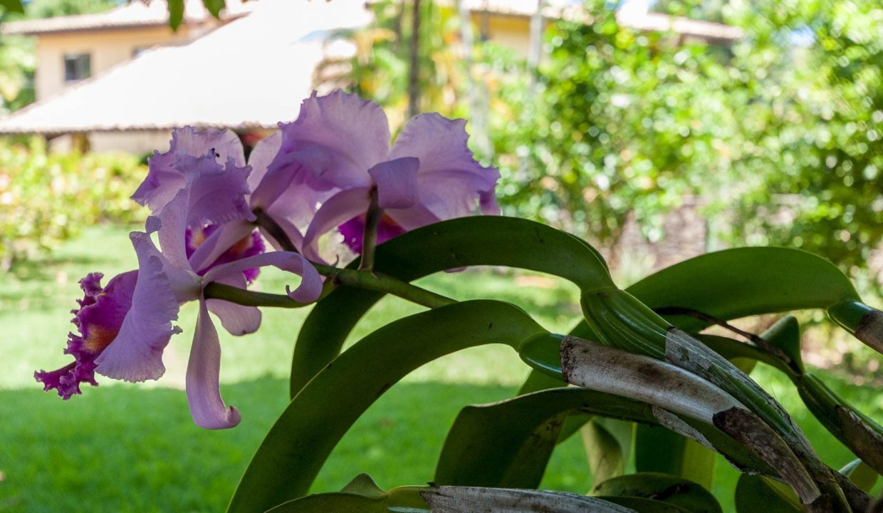 Casa maravilhosa a venda Encontro das Aguas-22